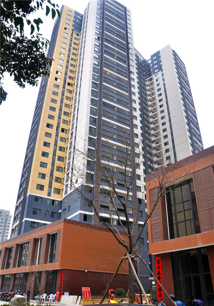 19、新東嶺城市綜合體（工農村）住宅小區.JPG
