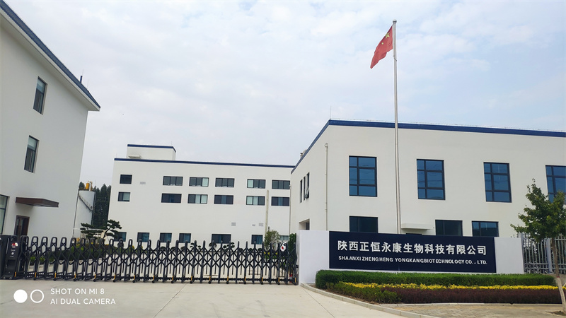 陜西正恒永康生物科技保健品中藥前處理及提取車間生產線建設項目